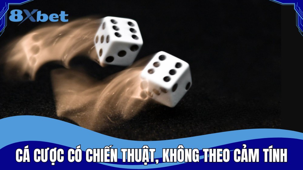 Cá cược có chiến thuật, không theo cảm tính
